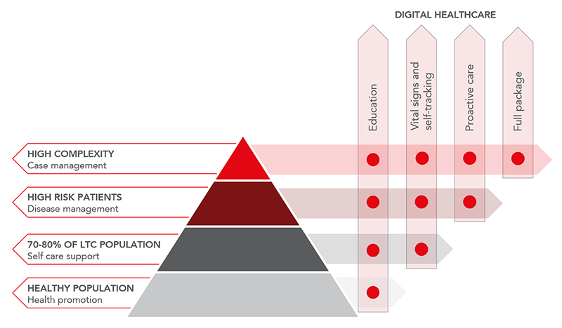 pyramid of digital healthcare